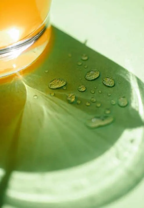Jarra de cristal con filtro de agua